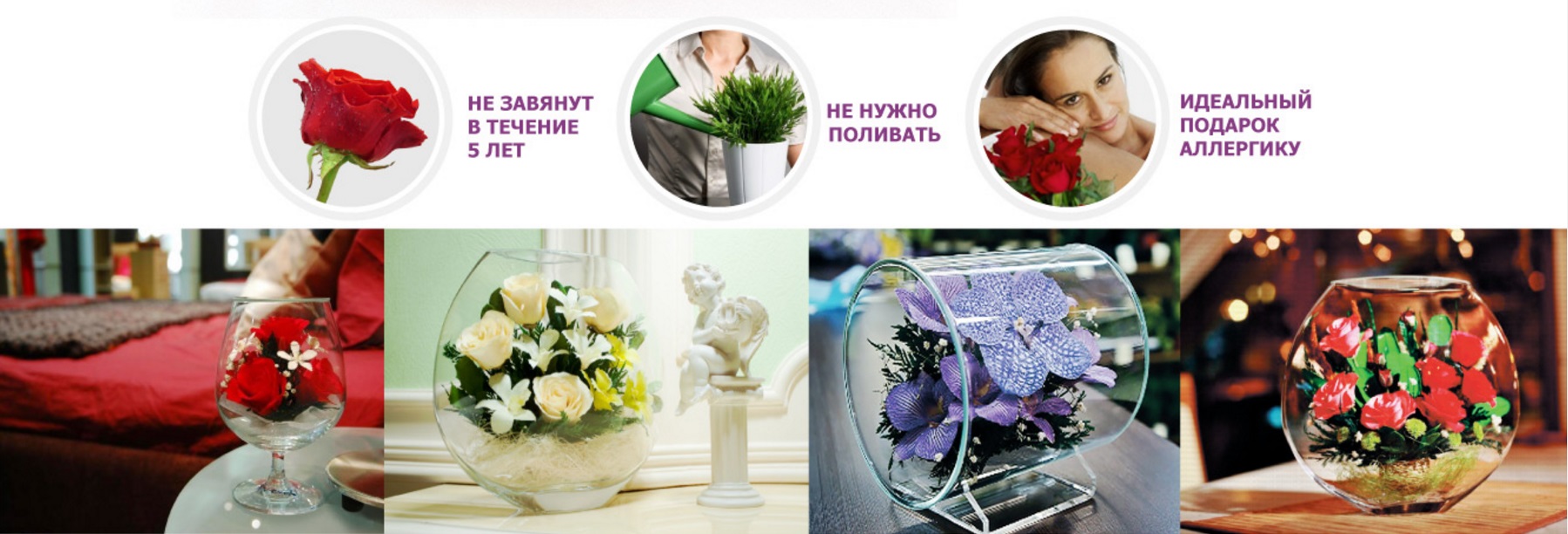 Купить цветы в стекле в интернет-магазине shikkra.ru